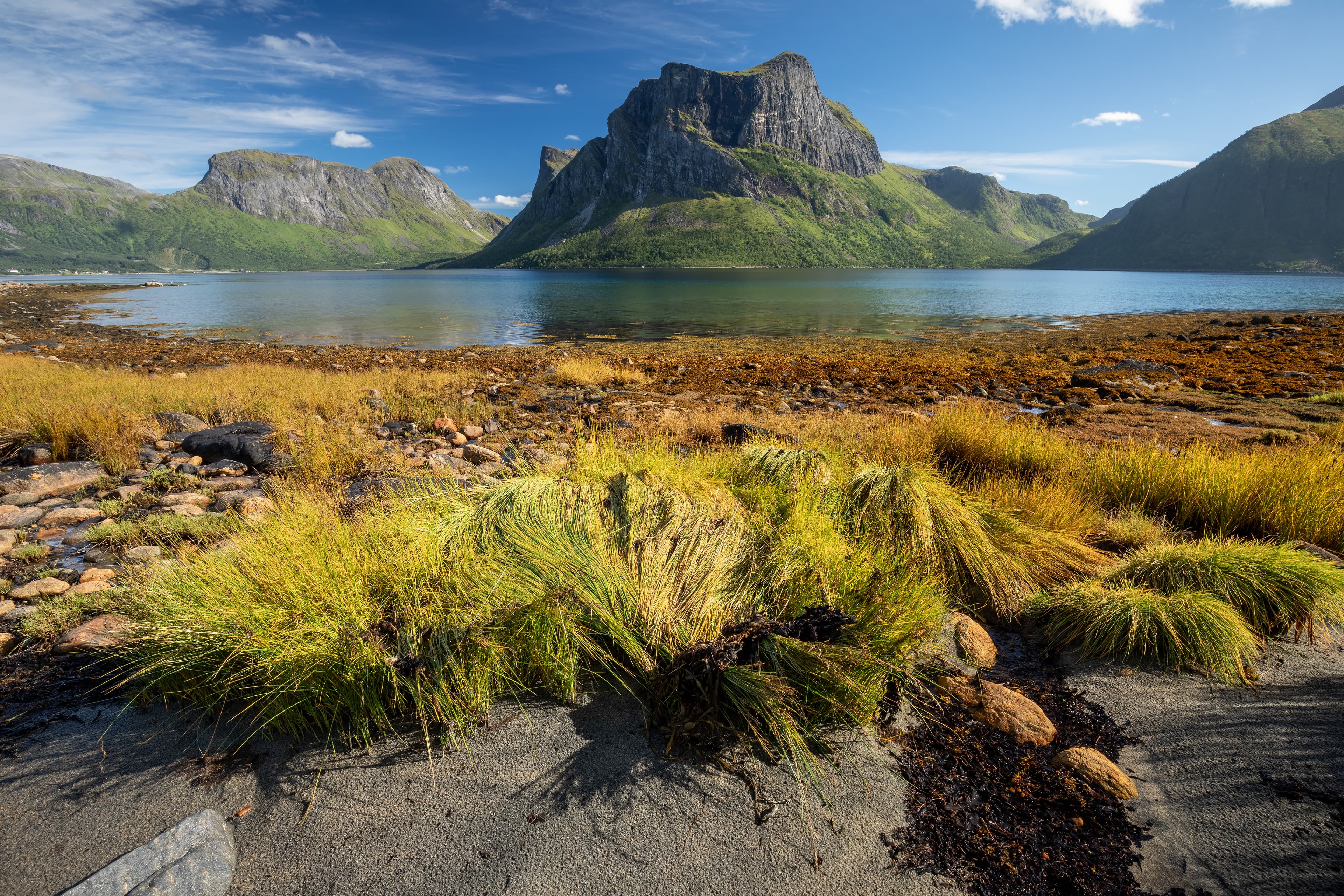 Simo Räsänen · CC BY-SA 4.0 Shore of Nordfjorden (part of Bergsfjorden) in Senja, Troms og Finnmark, Norway in 2022 August. Best regional substitute for Bergsbotn.
